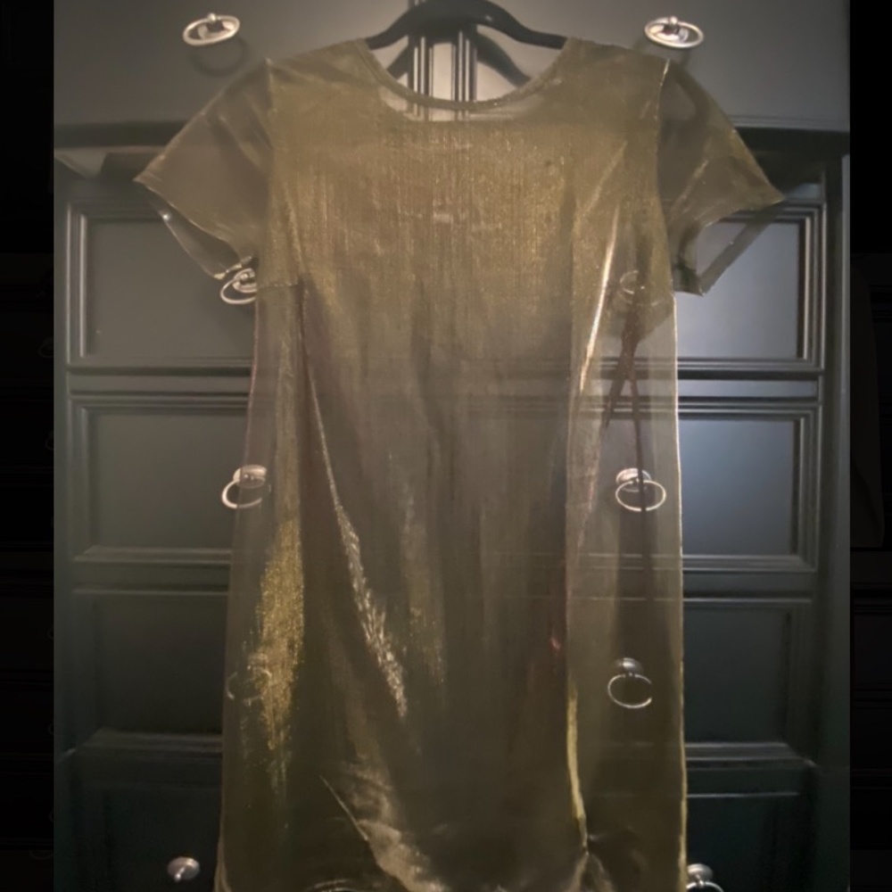 Sheer dress